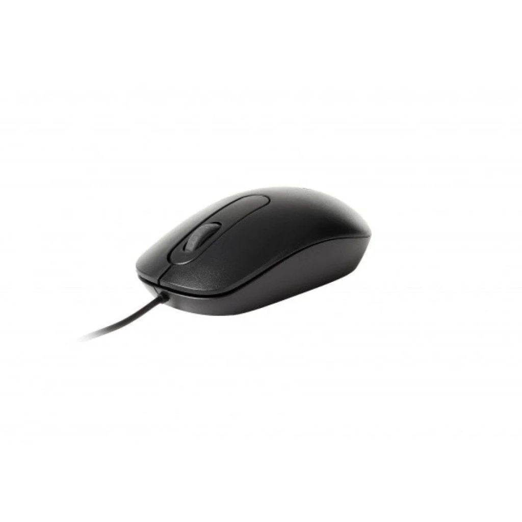 Black computer mouse on a white background