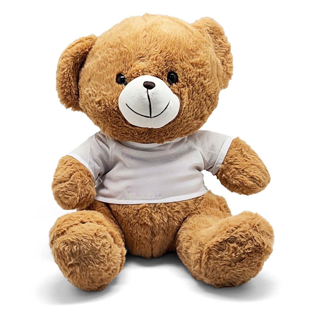 Brown teddy bear wearing a white shirt on a white background