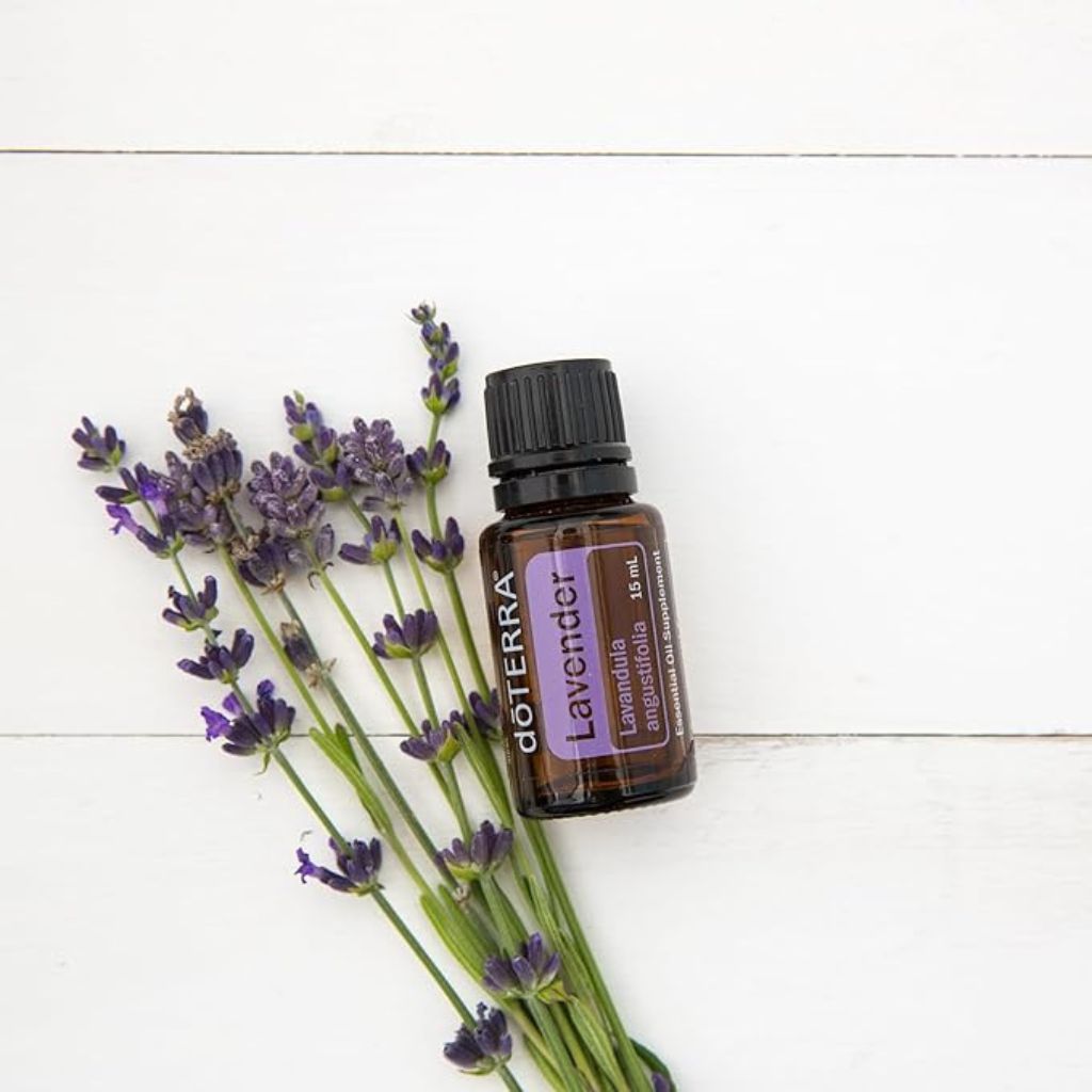 Lavender Oil - Lavandula angustifolia 15 ml