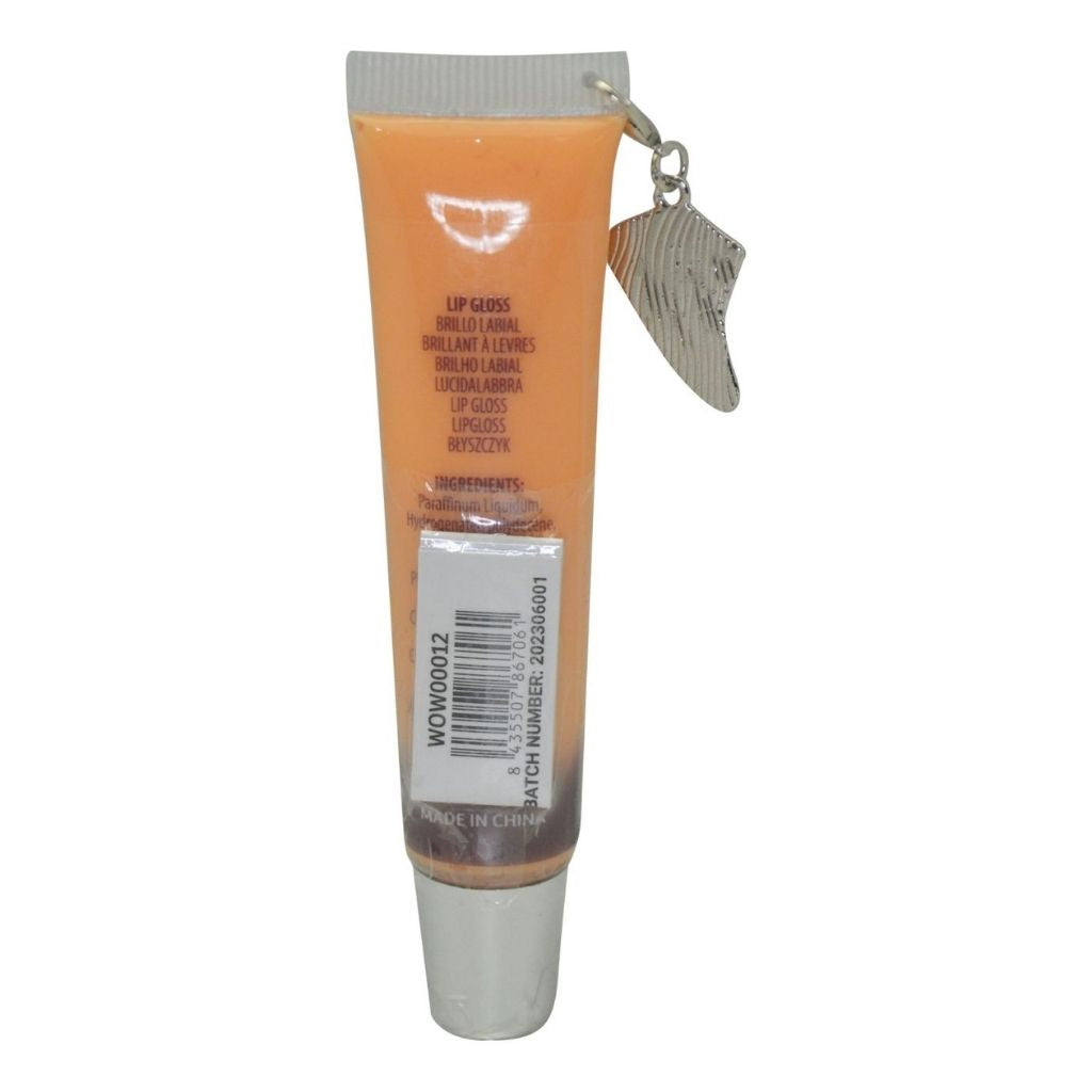 Lip gloss tube with silver cap on a white background