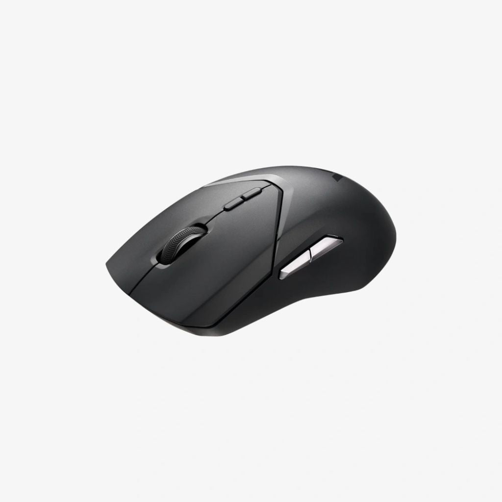 Black computer mouse on a white background