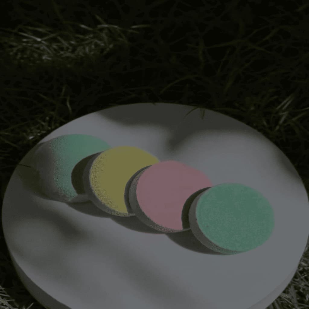 Colorful circular objects on a white plate with grass in the background