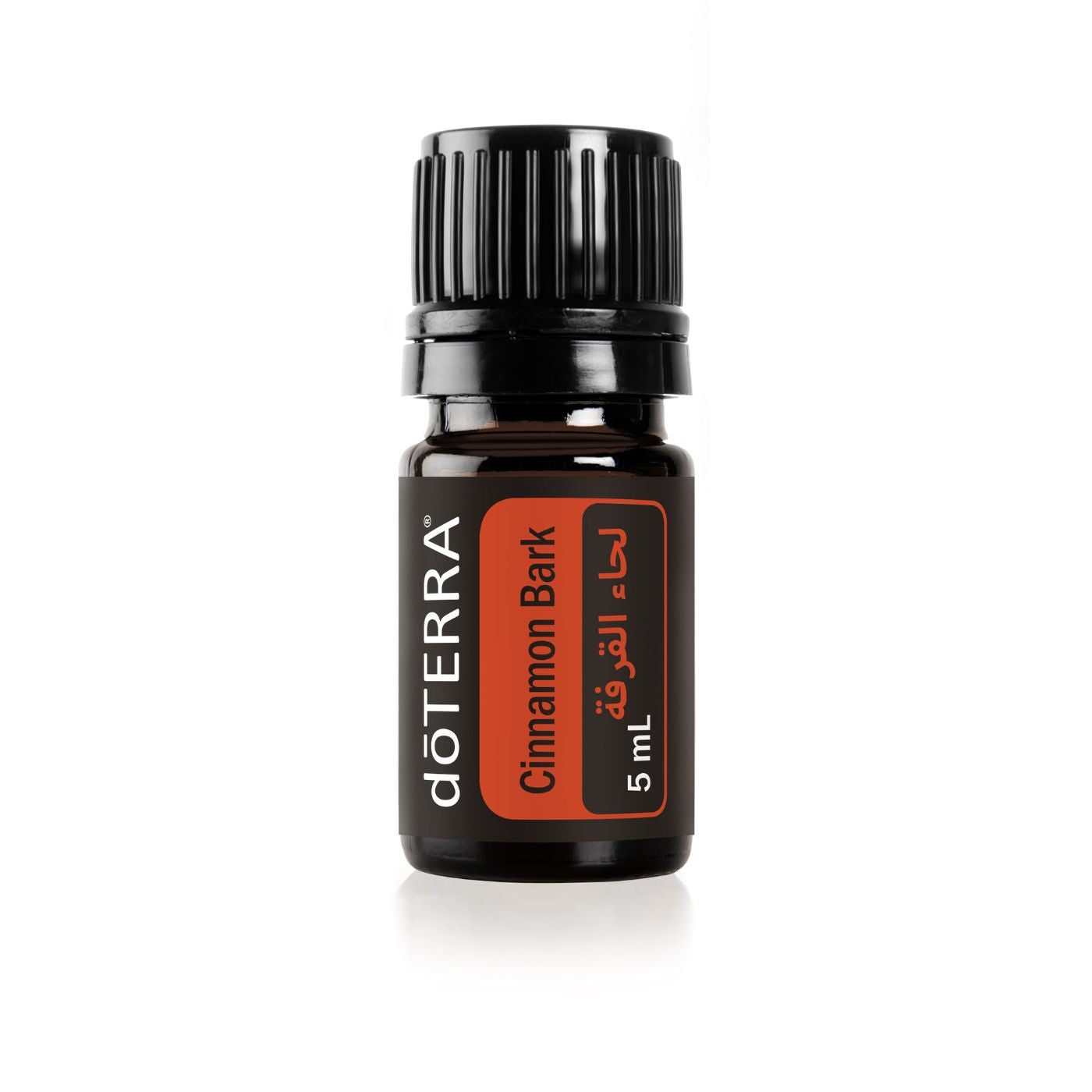 Cinnamon Bark - Essential Oil Supplement 5 mL