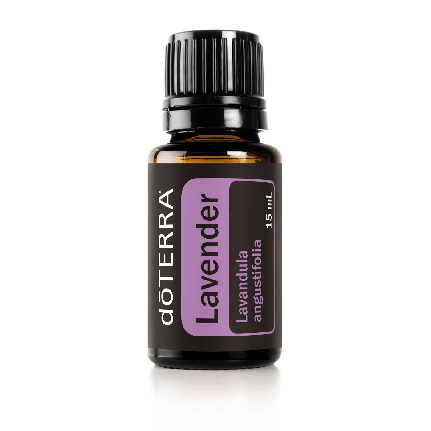 Lavender Oil - Lavandula angustifolia 15 mL