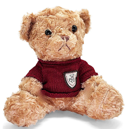 Teddy bear wearing a red sweater with a logo on a white background