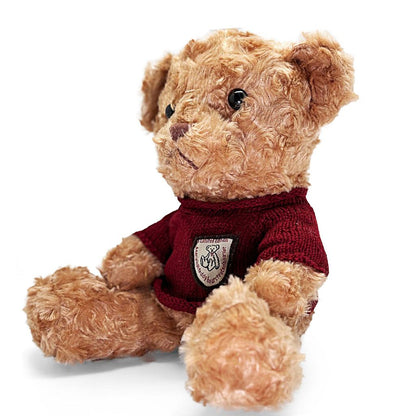 Teddy bear wearing a red sweater with a logo on a white background