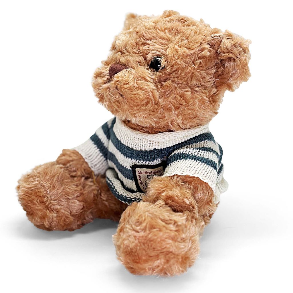 Teddy bear wearing a striped sweater on a white background