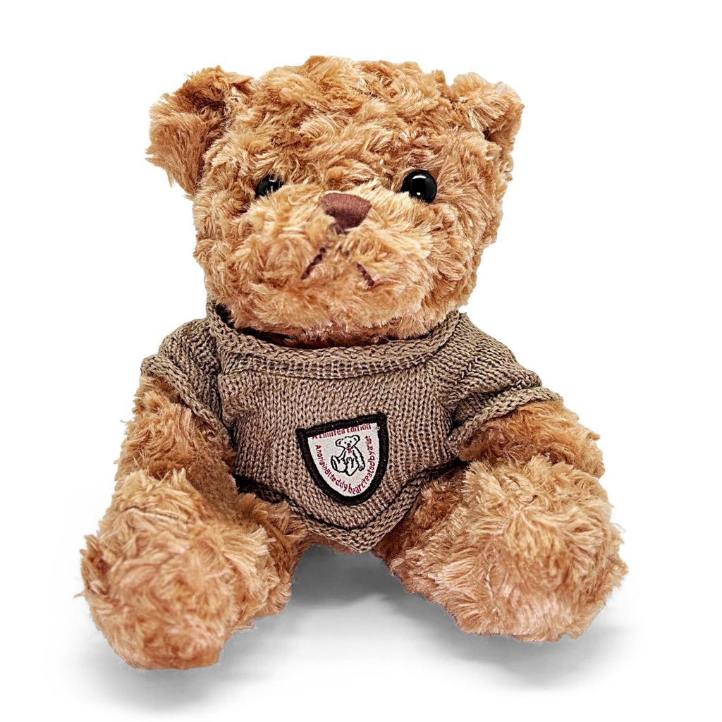 Brown teddy bear wearing a sweater with a logo on a white background