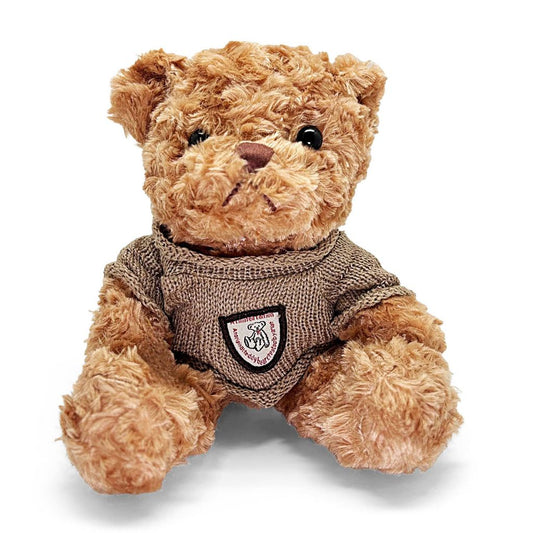 Brown teddy bear wearing a sweater with a logo on a white background
