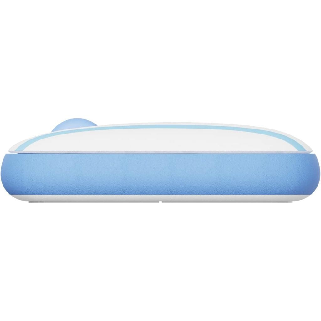 Blue and white computer mouse on a white background