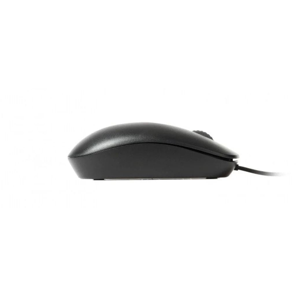 Black computer mouse on a white background