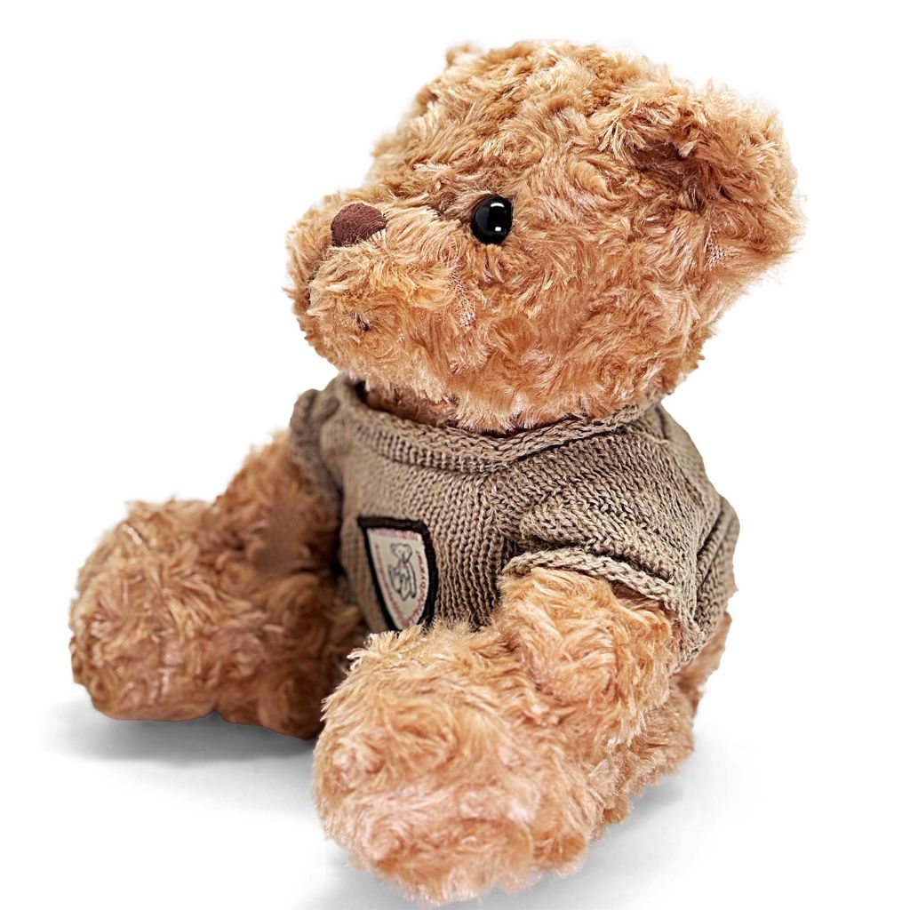 Brown teddy bear wearing a knitted sweater on a white background