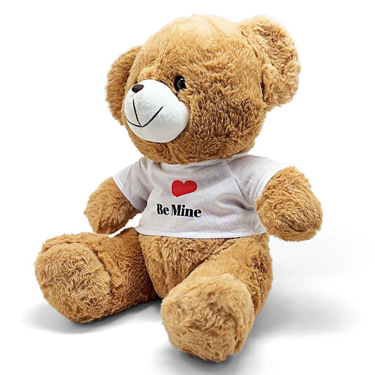 Brown teddy bear wearing a white shirt with a red heart and text on a white background