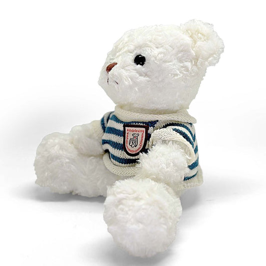 White teddy bear wearing a striped sweater on a white background
