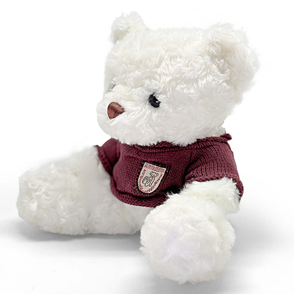 White teddy bear wearing a maroon sweater on a white background