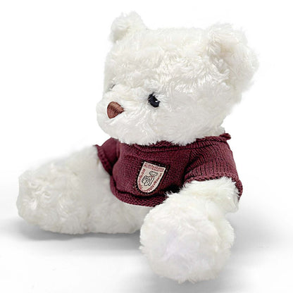 White teddy bear wearing a maroon sweater on a white background