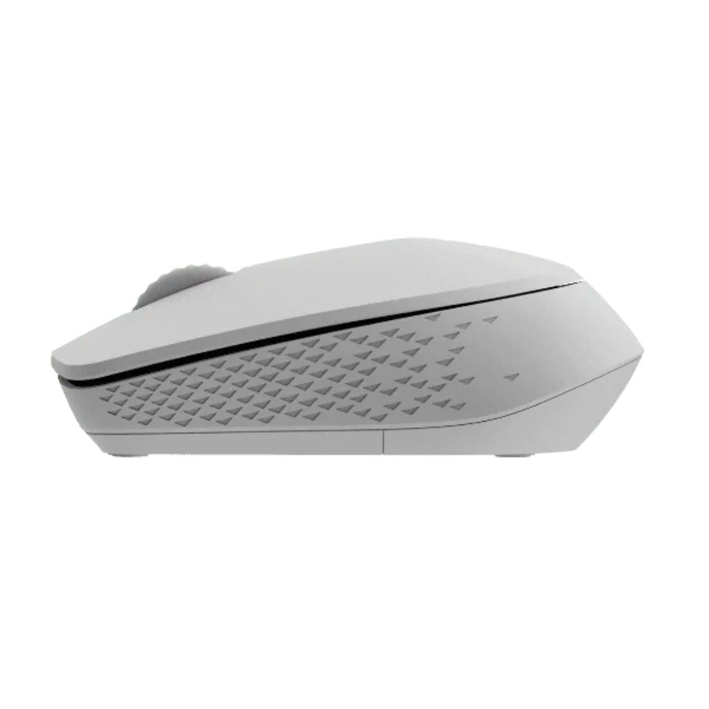 Gray computer mouse on a white background