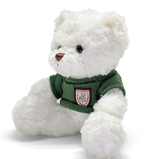 White teddy bear wearing a green sweater with a logo on a white background