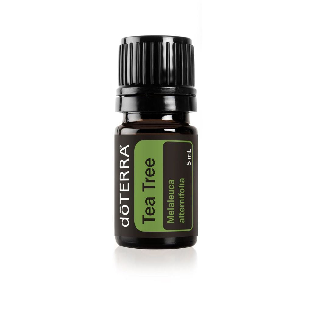 Tea Tree Oil - Melaleuca alternifolia 5 ml