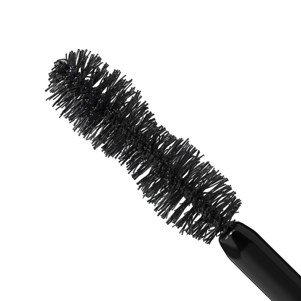 Black bristle brush on a white background