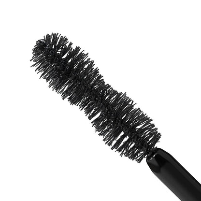 Black bristle brush on a white background