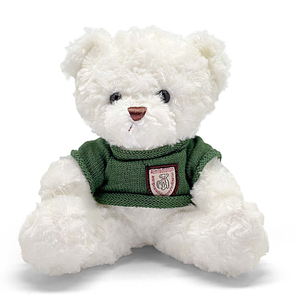 White teddy bear wearing a green sweater with a logo on a white background