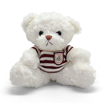White teddy bear wearing a striped sweater on a white background
