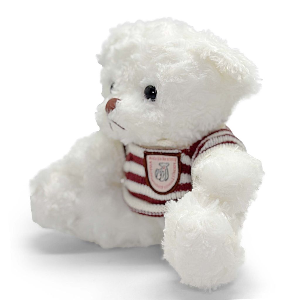 White teddy bear wearing a red and white striped sweater on a white background