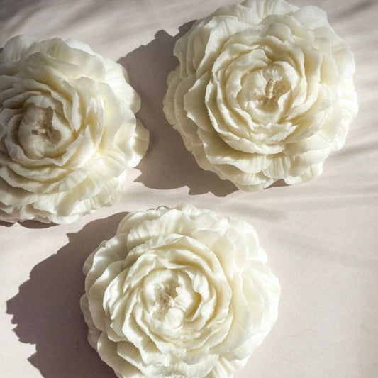 Three white flowers on a light background