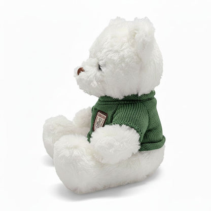 White teddy bear wearing a green sweater on a white background