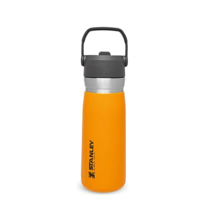 IceFlow Flip Straw Water Bottle 650 ml / 22 oz Saffron