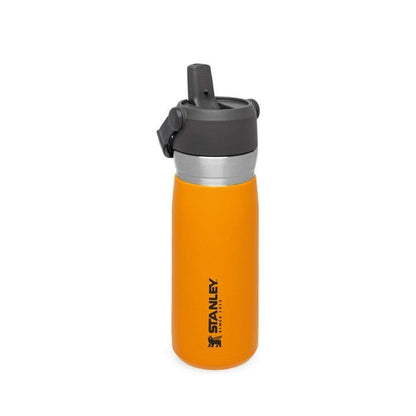 IceFlow Flip Straw Water Bottle 650 ml / 22 oz Saffron