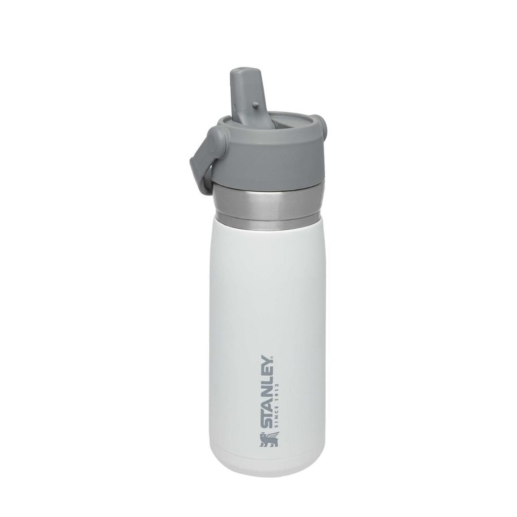 IceFlow Flip Straw Water Bottle 650 ml / 22 oz Polar