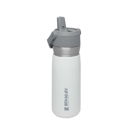 IceFlow Flip Straw Water Bottle 650 ml / 22 oz Polar