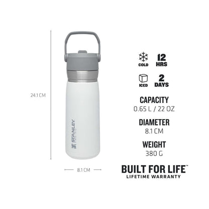 IceFlow Flip Straw Water Bottle 650 ml / 22 oz Polar