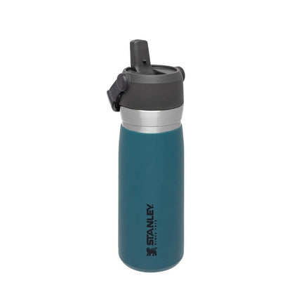 IceFlow Flip Straw Water Bottle 650 ml / 22 oz Lagoon