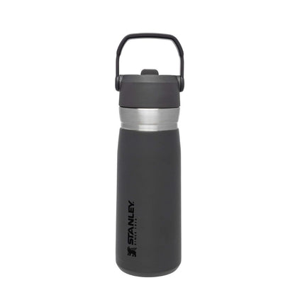 IceFlow Flip Straw Water Bottle 650 ml / 22 oz Charcoal