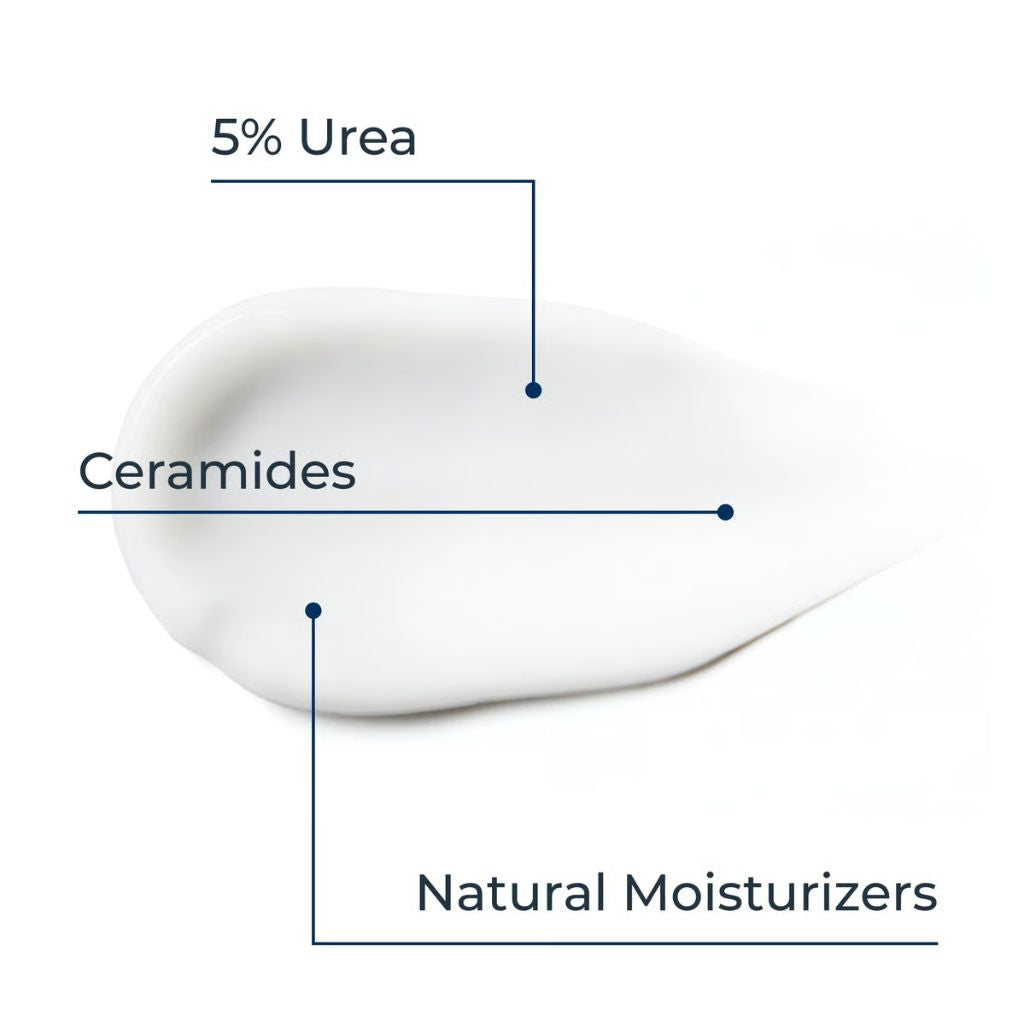 Diagram showing ingredients in a skincare product with labels for 5% Urea, Ceramides, and Natural Moisturizers.