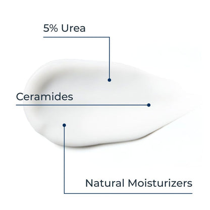 Diagram showing ingredients in a skincare product with labels for 5% Urea, Ceramides, and Natural Moisturizers.