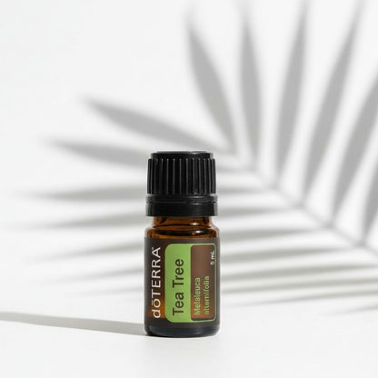 Tea Tree Oil - Melaleuca alternifolia 5 ml