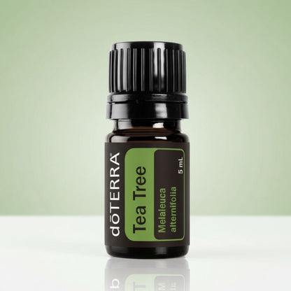 Tea Tree Oil - Melaleuca alternifolia 5 ml