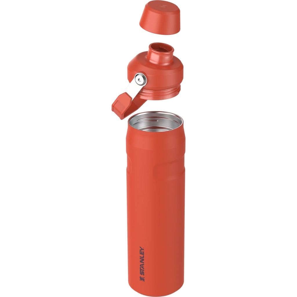 Stanley Aerolight IceFlow Fast Flow Water Bottle 600 ml/20 oz - Tigerlily
