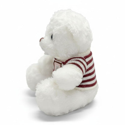 White teddy bear wearing a red and white striped sweater on a white background