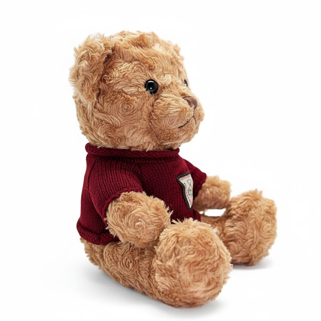 Teddy bear wearing a red sweater on a white background