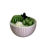 Riko Succulent Candle