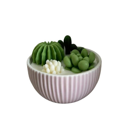 Decorative bowl with green succulents and a white candle on a white background