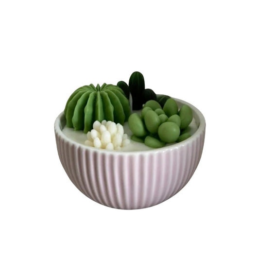 Decorative bowl with green succulents and a white candle on a white background