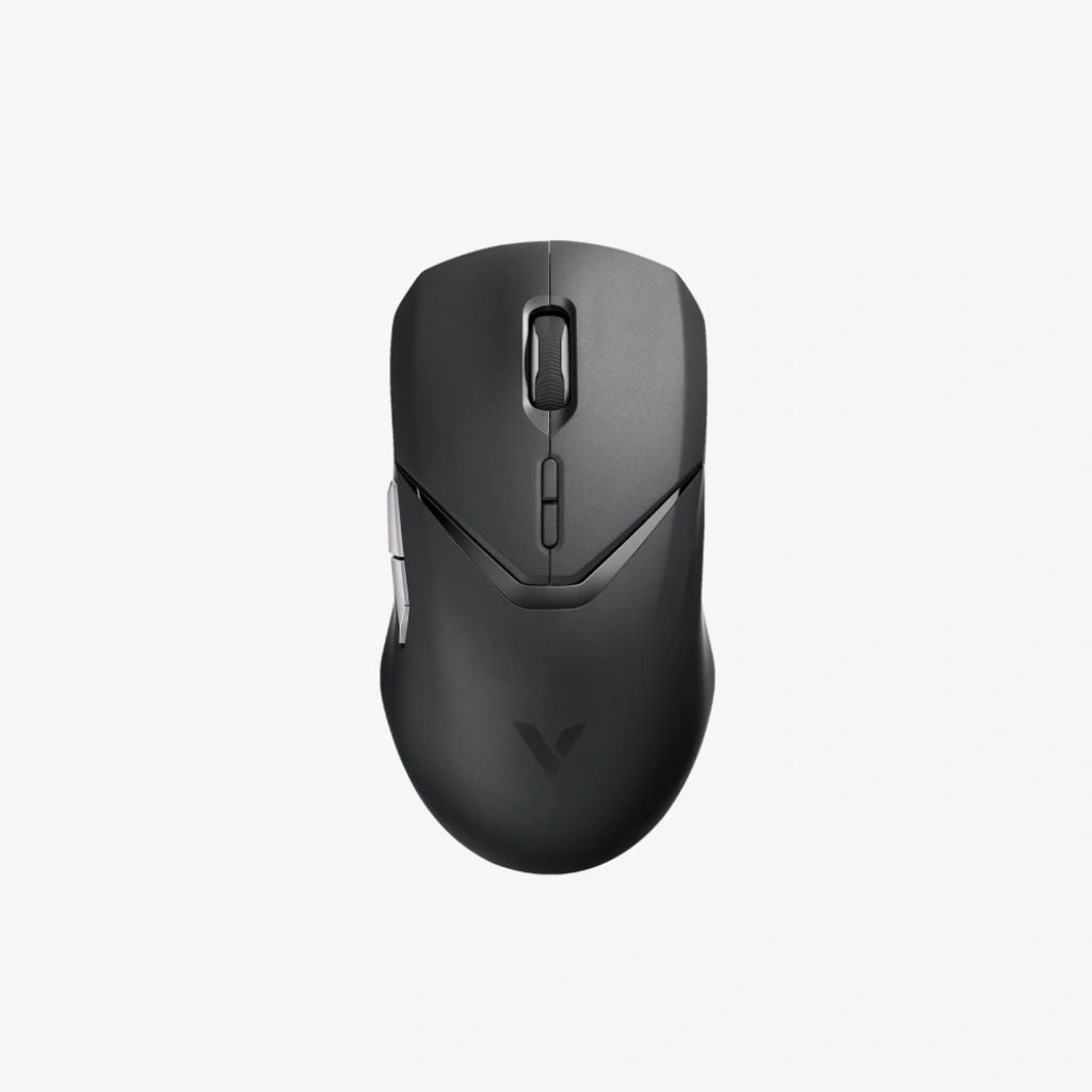 Black computer mouse on a white background