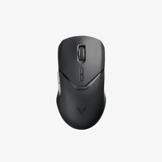 Black computer mouse on a white background