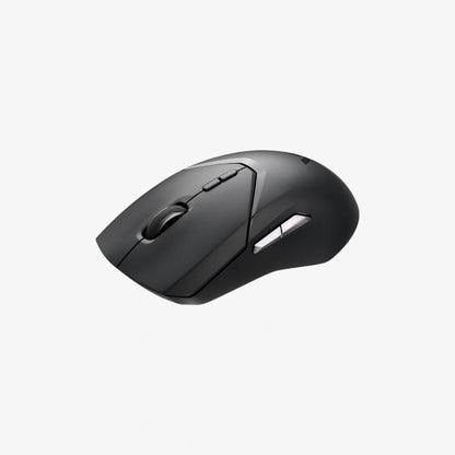 Black computer mouse on a white background